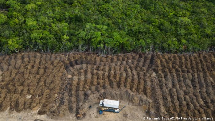 Desmatamento legal também ameaça o clima, alertam cientistas