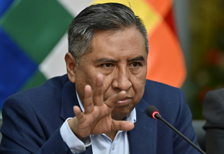 Argentina y Bolivia instan a la OEA a no interferir en asuntos internos