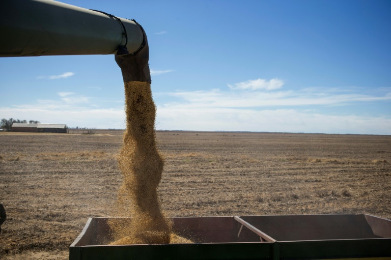 Produtores de soja tacham de ‘protecionista’ plano contra desmatamento da UE