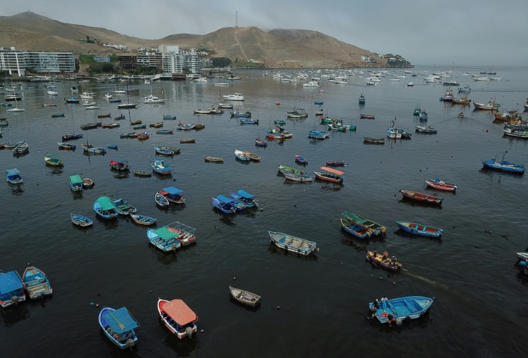 Balanço do derramamento de óleo no Peru: pássaros mortos e pescadores sem trabalho