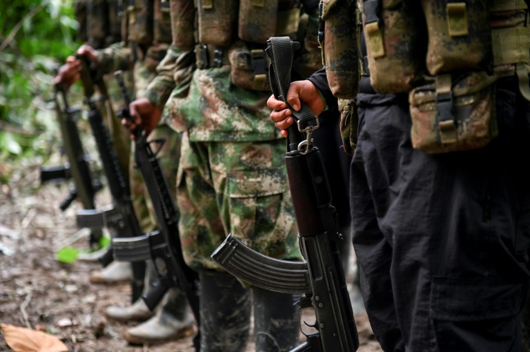 ELN desafia autoridades colombianas com fotos de patrulha perto da Venezuela