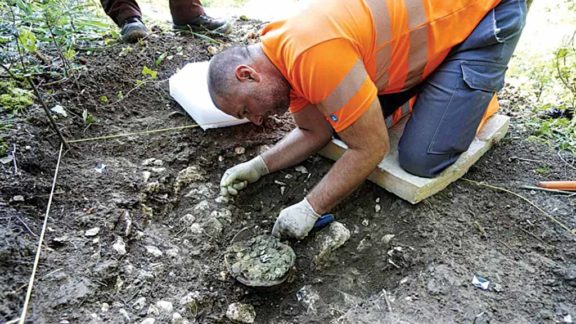 Arqueólogo amador desenterra moedas do Império Romano