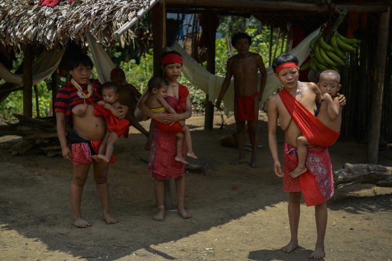 Terra Yanomami completa 30 anos com pouco a comemorar