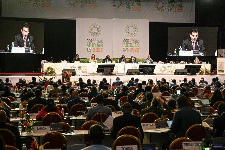 COP15 se compromete a recuperar bilhões de hectares degradados COP15 se compromete a recuperar bilhões de hectares degradados