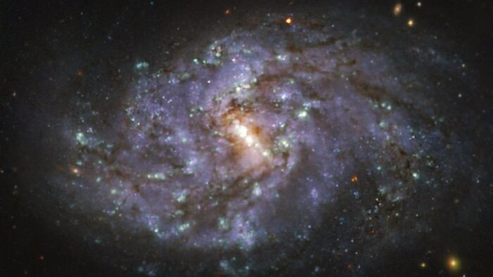 NGC 1087 é uma galáxia espiral localizada a aproximadamente 80 milhões de anos-luz da Terra na Constelação de Cetus. As imagens foram tiradas como parte do projeto Physics at High Angular Resolution in Nearby GalaxieS (PHANGS), que está fazendo observações de alta resolução de galáxias próximas com telescópios operando em todo o espectro eletromagnético