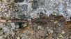 Ponta da flecha de 1.500 anos achada nos dos Montes Jotunheimen: descongelada com água morna. Crédito: Espen Finstad/secretsoftheice.com