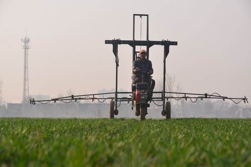 Setor de fertilizantes especiais do Brasil espera crescimento de 24% em 2021 Setor de fertilizantes especiais do Brasil espera crescimento de 24% em 2021