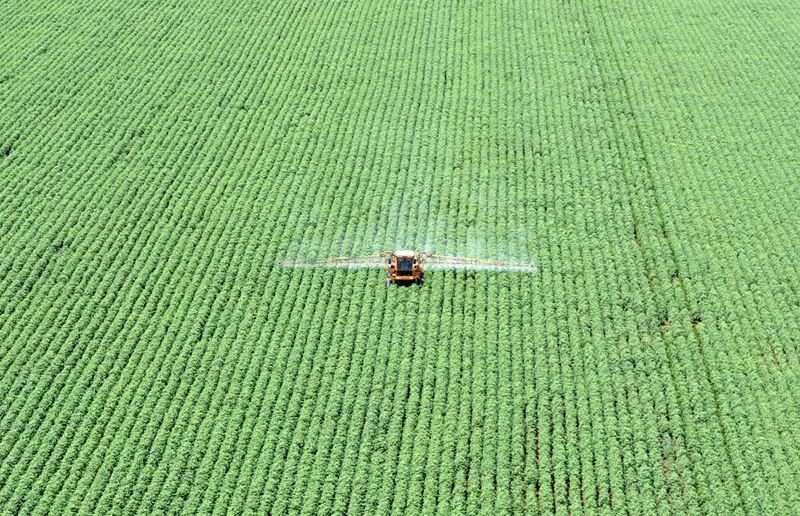 Bom Futuro inicia plantio de soja 2021/22 em Mato Grosso; vê alta de 2,36% em área Bom Futuro inicia plantio de soja 2021/22 em Mato Grosso; vê alta de 2,36% em área