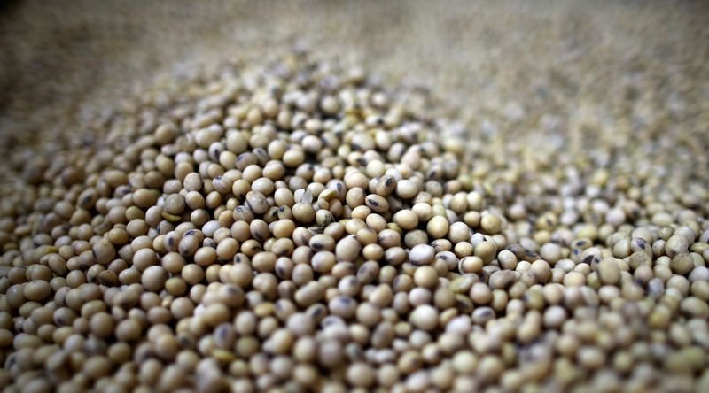 Agricultores argentinos venderam 30,5 mi t de soja em 2020/21, diz governo Agricultores argentinos venderam 30,5 mi t de soja em 2020/21, diz governo