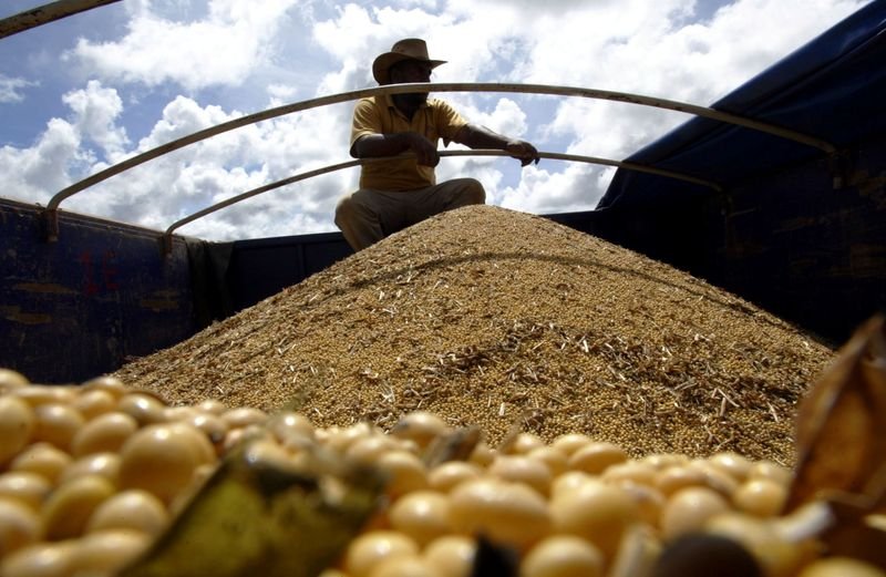 Plantio de soja avança para 6,16% das áreas em MT com chuvas favoráveis, diz Imea Plantio de soja avança para 6,16% das áreas em MT com chuvas favoráveis, diz Imea