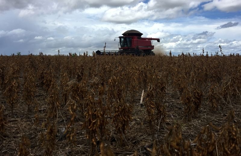 Brasil tem 2ª plantio de soja mais rápido da história e vai a 22% da área, diz AgRural Brasil tem 2ª plantio de soja mais rápido da história e vai a 22% da área, diz AgRural