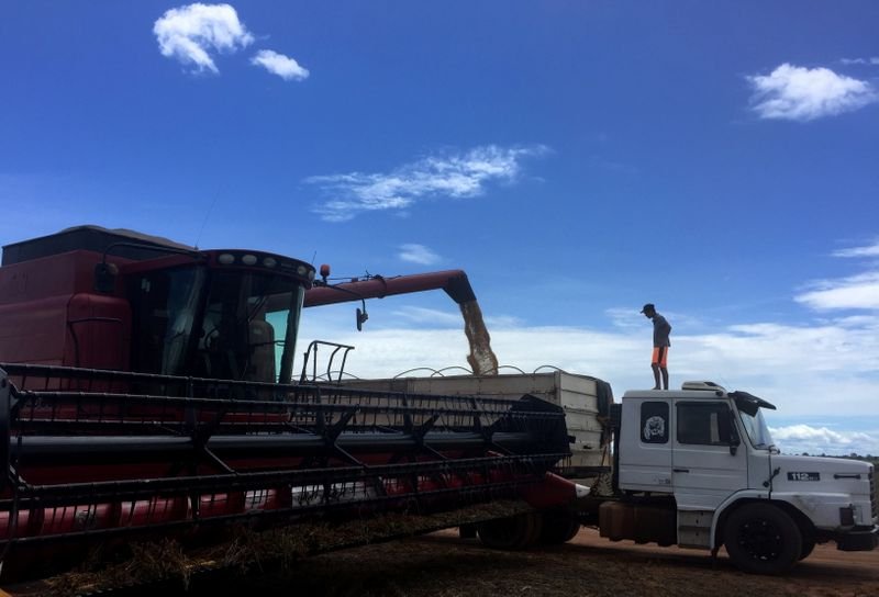 Governo prevê corte de 1 bi t em emissões de carbono no agro até 2030 com Plano ABC+ Governo prevê corte de 1 bi t em emissões de carbono no agro até 2030 com Plano ABC+