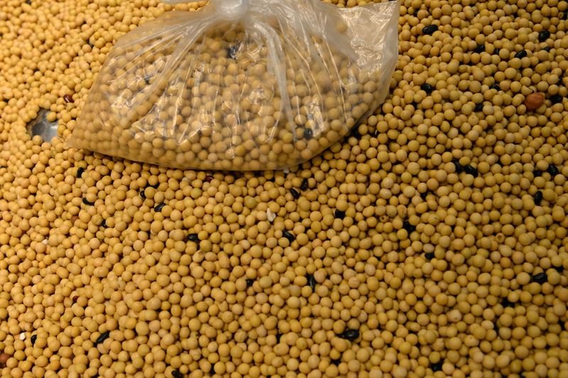 Colheita de soja dos EUA atinge 60%, milho em 52%, diz USDA Colheita de soja dos EUA atinge 60%, milho em 52%, diz USDA