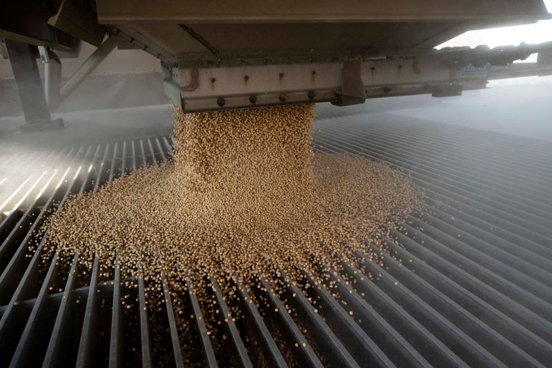 Plantio de soja supera 90% da área projetada no Brasil, diz Safras & Mercado