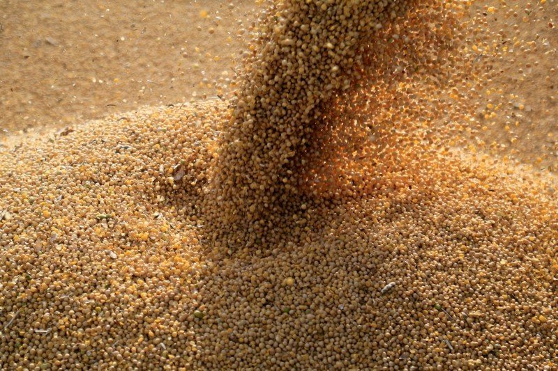 Trading Agribrasil prepara IPO Trading Agribrasil prepara IPO