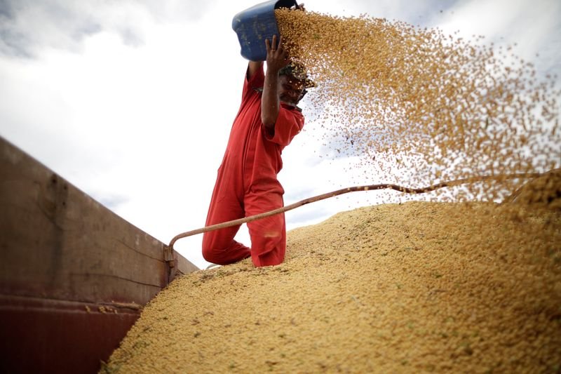 Exportação de soja do Brasil reduz ritmo semanal mas ainda avança em janeiro ante 2021 Exportação de soja do Brasil reduz ritmo semanal mas ainda avança em janeiro ante 2021