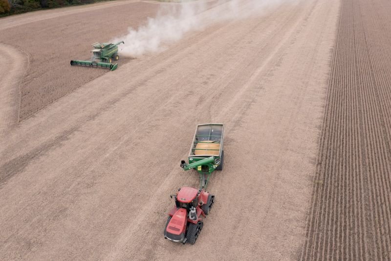 Volume de soja processada na Argentina em 2021 atinge pico de 5 anos, diz bolsa Volume de soja processada na Argentina em 2021 atinge pico de 5 anos, diz bolsa