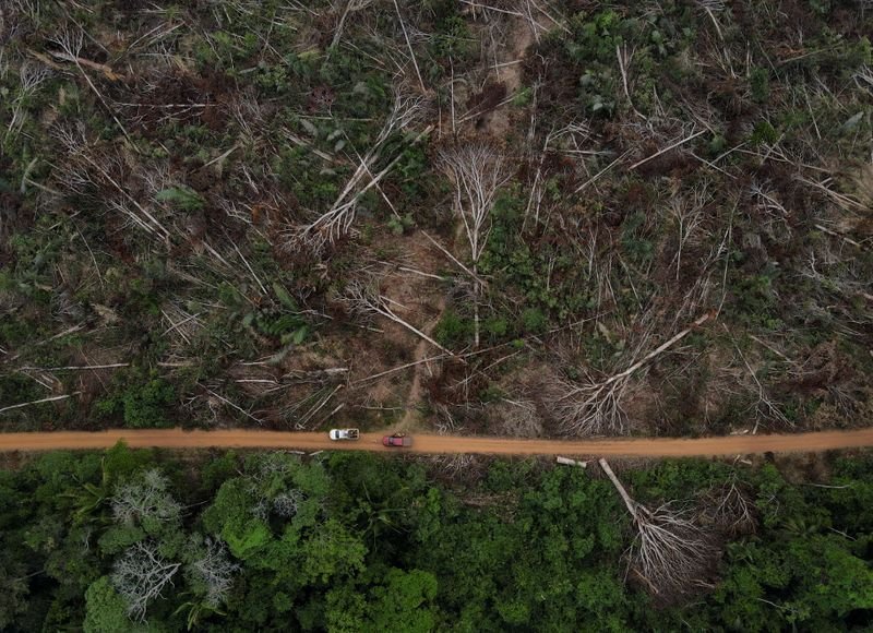 Organizações farão apelo na ONU contra “desmonte ambiental” por Bolsonaro Organizações farão apelo na ONU contra “desmonte ambiental” por Bolsonaro