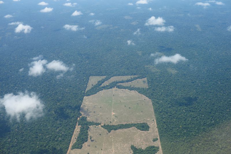EXCLUSIVO-Bolsonaro pode ampliar multas ambientais para fortalecer proteção da Amazônia