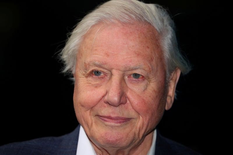 Cada dia sem ação sobre clima é “um dia perdido”, diz naturalista David Attenborough Cada dia sem ação sobre clima é “um dia perdido”, diz naturalista David Attenborough